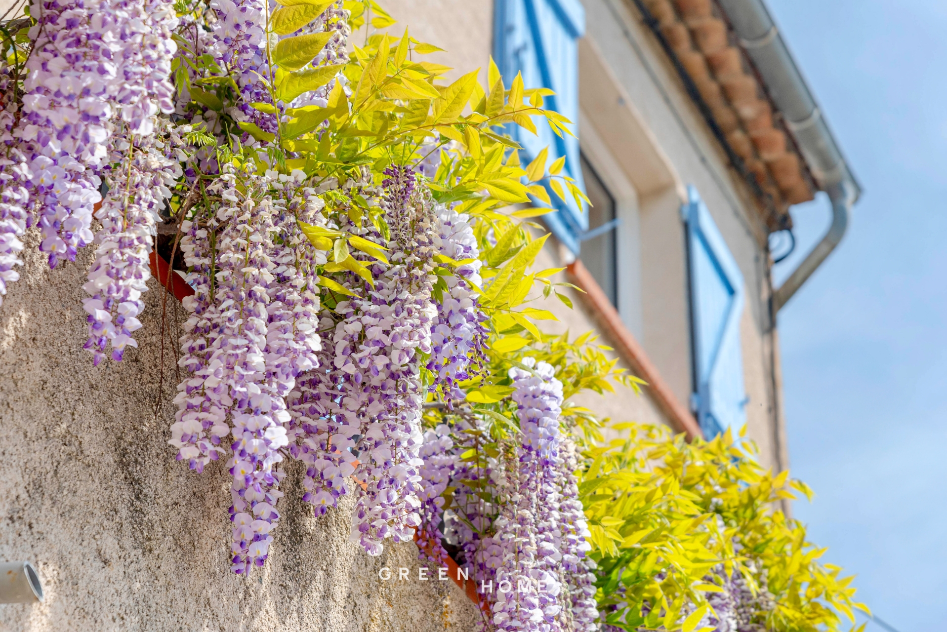 Achat Grimaud - Maison - 5 pièces