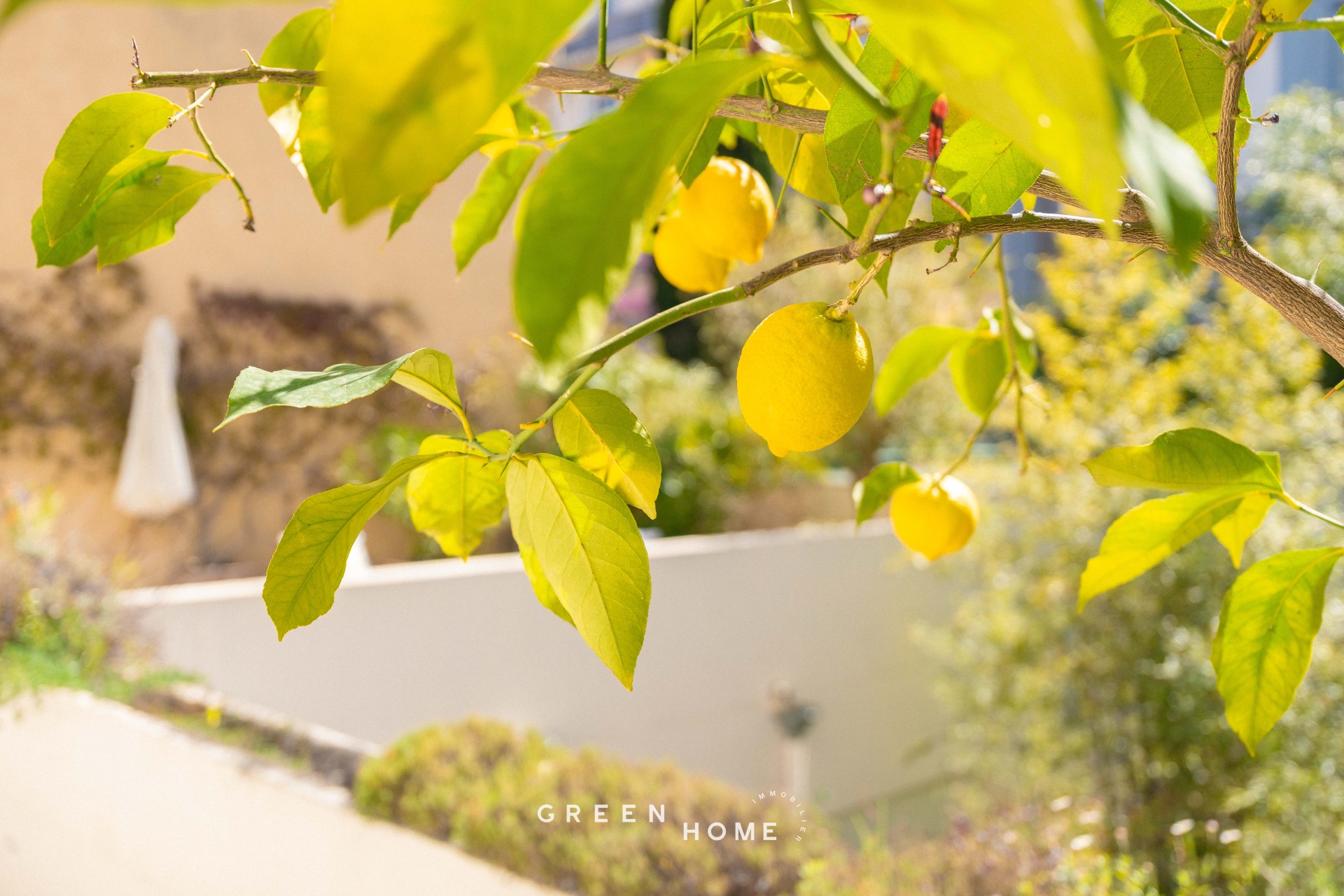 Achat Marseille 6 - Appartement - 6 pièces