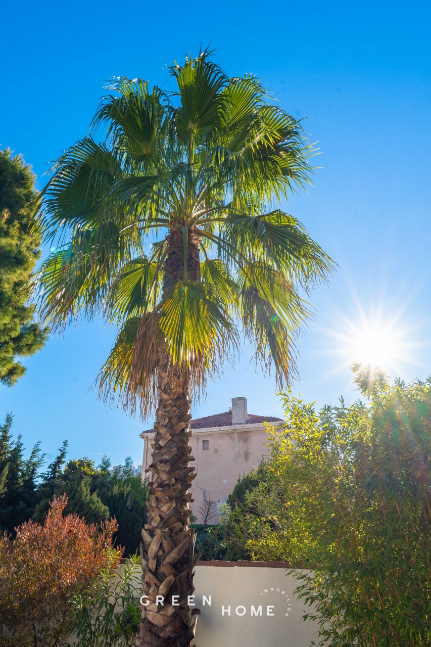 Achat Marseille 7 - Vendu