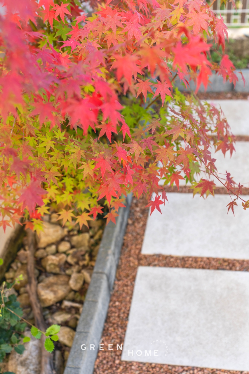 Achat Ménerbes - Maison - 4 pièces