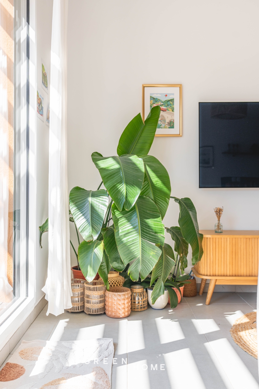 Achat Aix-en-Provence - Appartement - 3 pièces